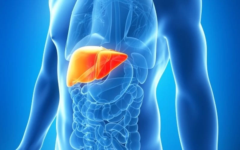 O διατροφικός «θησαυρός» που καθαρίζει το συκώτι σε μόλις 2 μέρες (βίντεο)